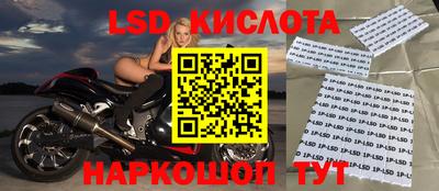 гидропоника Бийск
