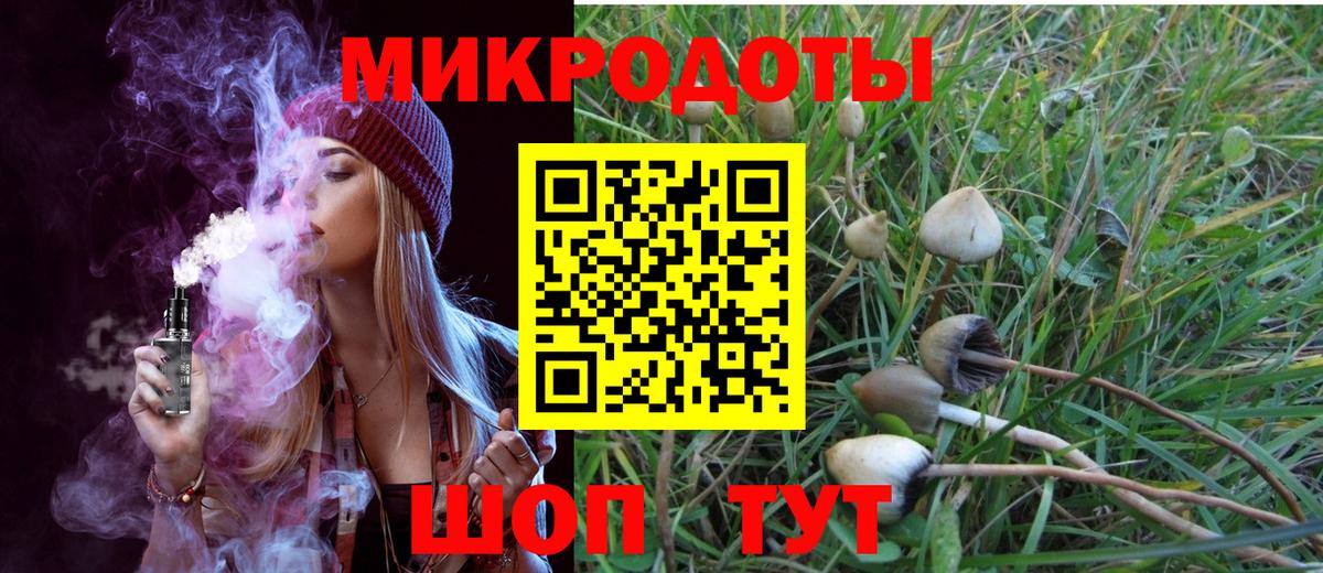 Галлюциногенные грибы Cubensis Йошкар-Ола